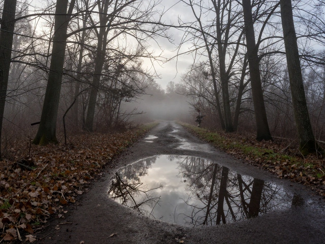 Seasonal Releases and Timing in Alli Starr’s Recording Calendar